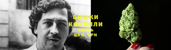 сатива Балабаново
