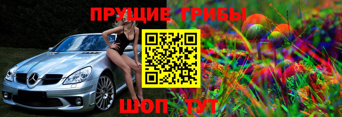 Галлюциногенные грибы мицелий  Вход с VPN  даркнет сайт  Похвистнево 