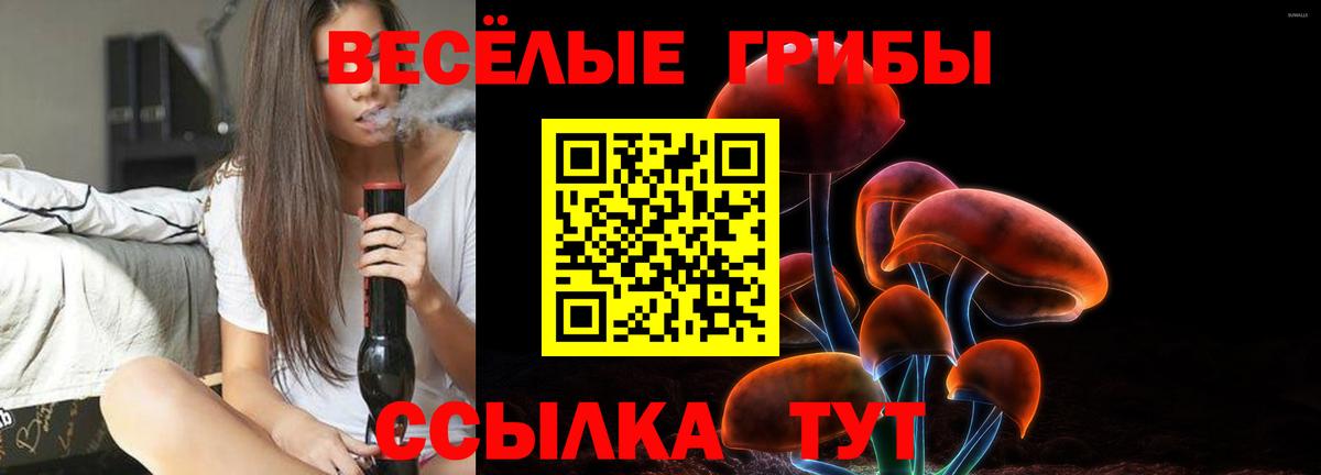 купить закладку  Вход с VPN  Похвистнево  Галлюциногенные грибы GOLDEN TEACHER 
