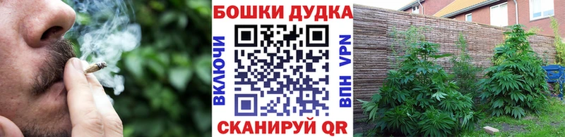 Каннабис план гидра ТОР Похвистнево